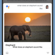 Image for article titled 17 Google Assistant Tricks You Might Not Know About